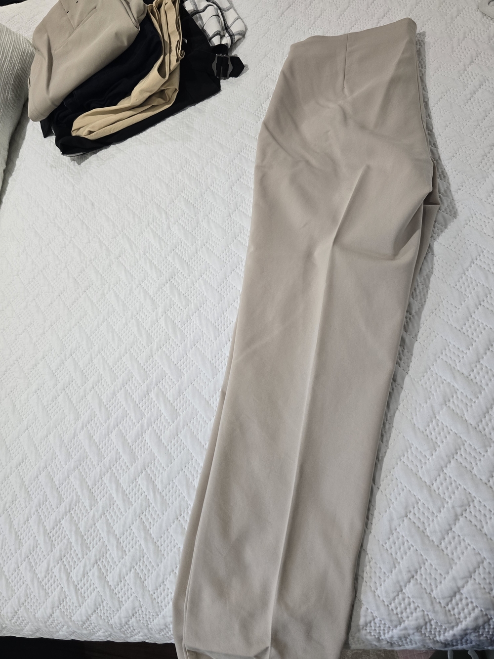 Tahari Light Beige Men's Dress Trousers